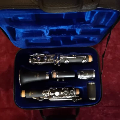 Clarinetto plx ast